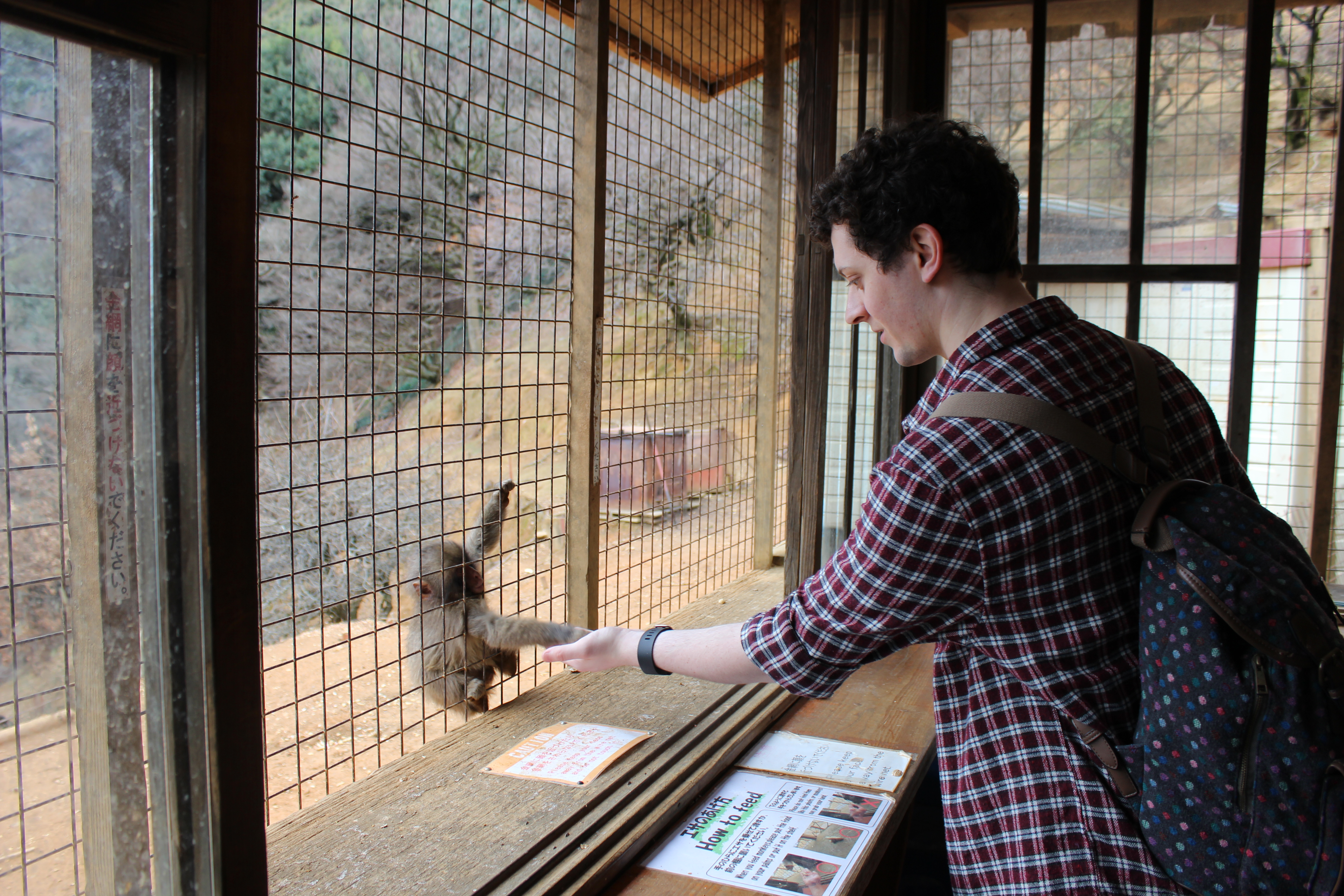 Me feeding a baby monkey