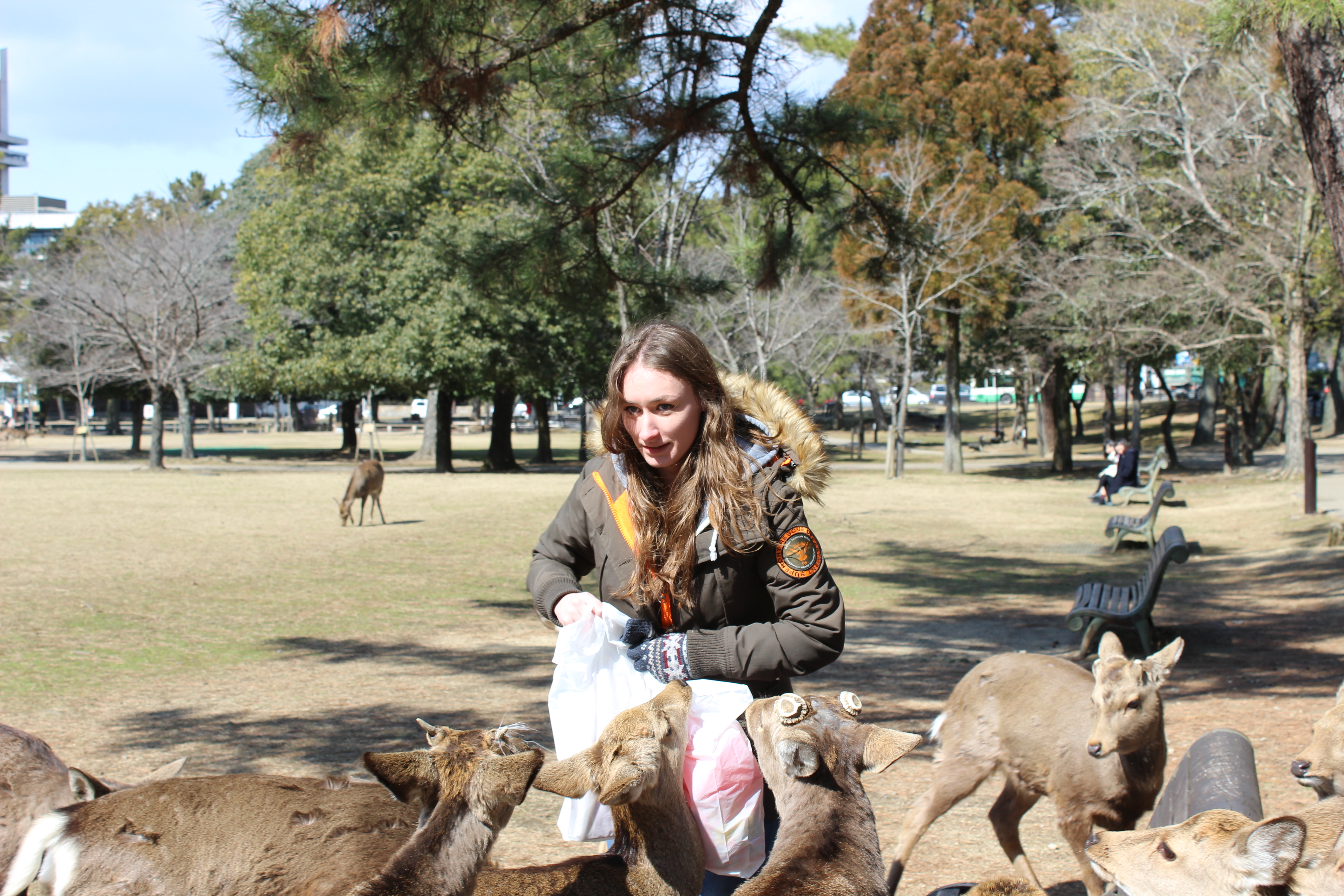 Sarah getting scaread of the deer