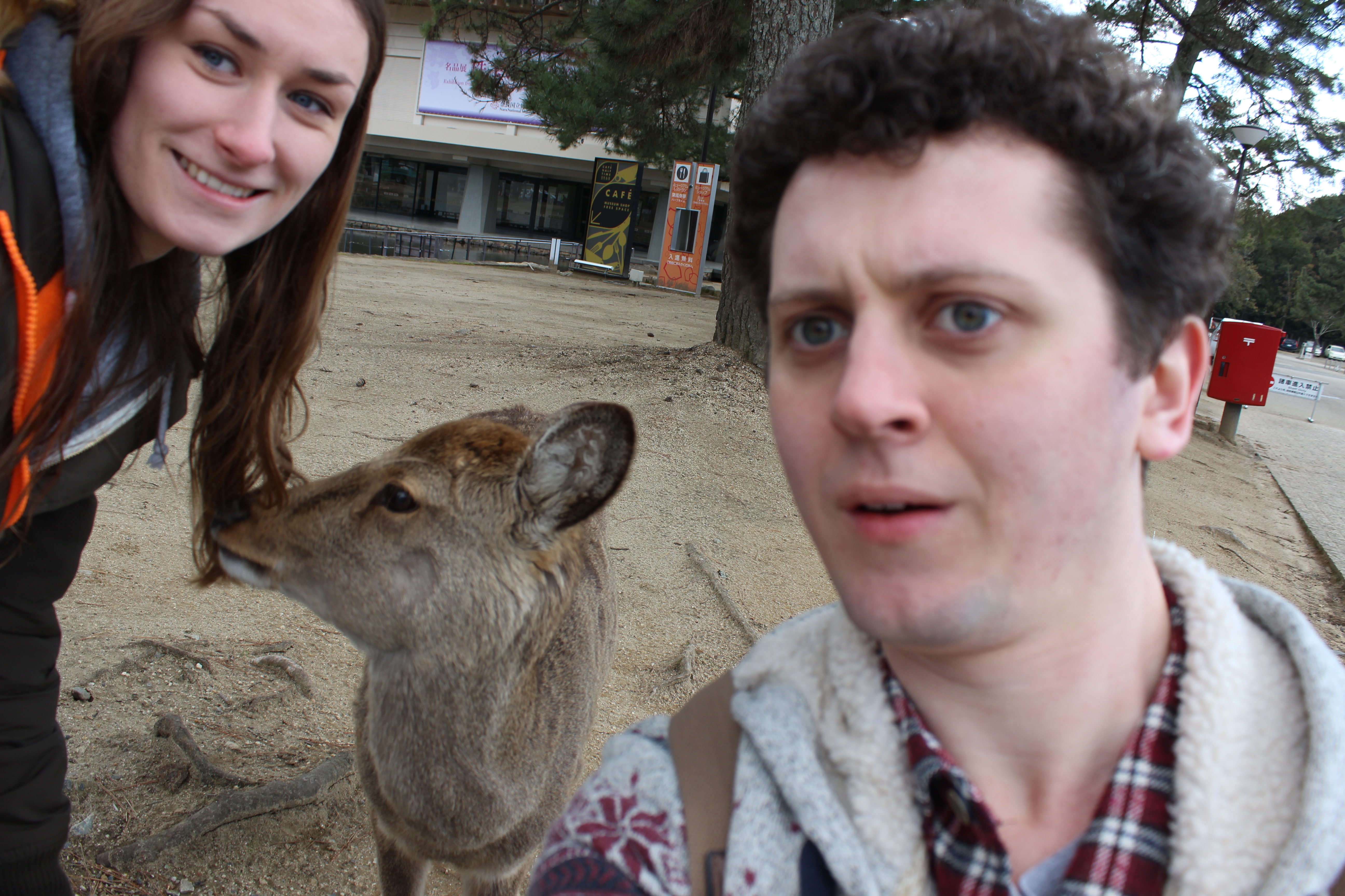 A deer selfie