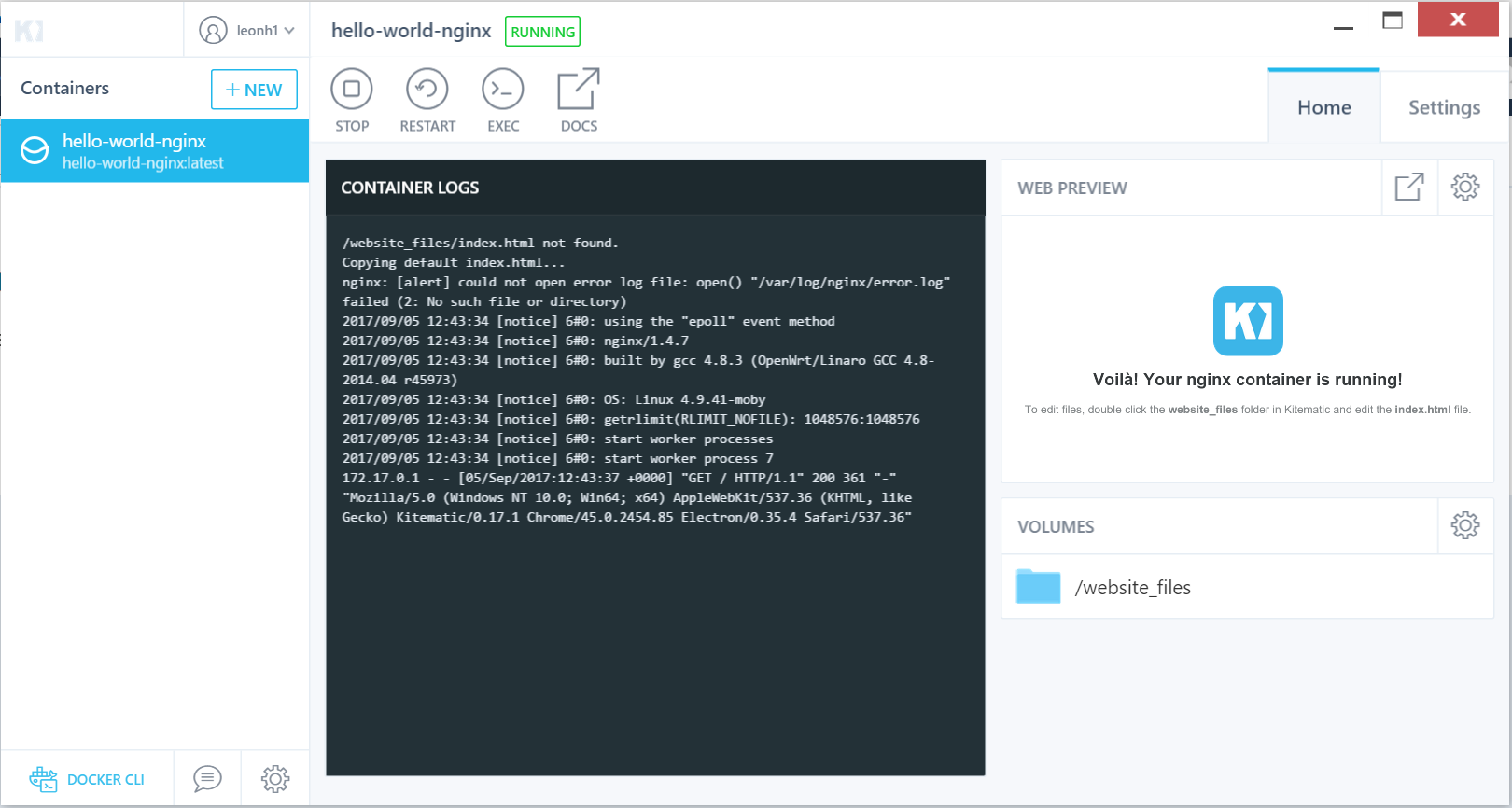 Screenshot of running the container in Kitematic